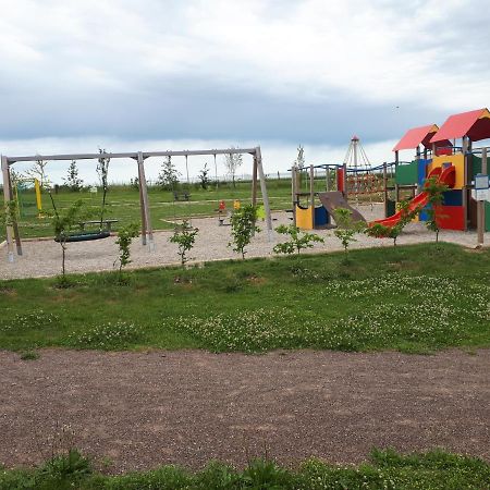 Gite Terre D'Helene 4 A 5 Pers Proche Strasbourg 42 M2, 3 Etoiles, Wifi, Paisible, Jardin, Proche Commerces,16 Atouts, Animaux Acceptes Berstett Екстер'єр фото