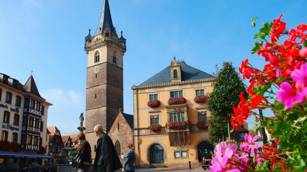 Gite Terre D'Helene 4 A 5 Pers Proche Strasbourg 42 M2, 3 Etoiles, Wifi, Paisible, Jardin, Proche Commerces,16 Atouts, Animaux Acceptes Berstett Екстер'єр фото