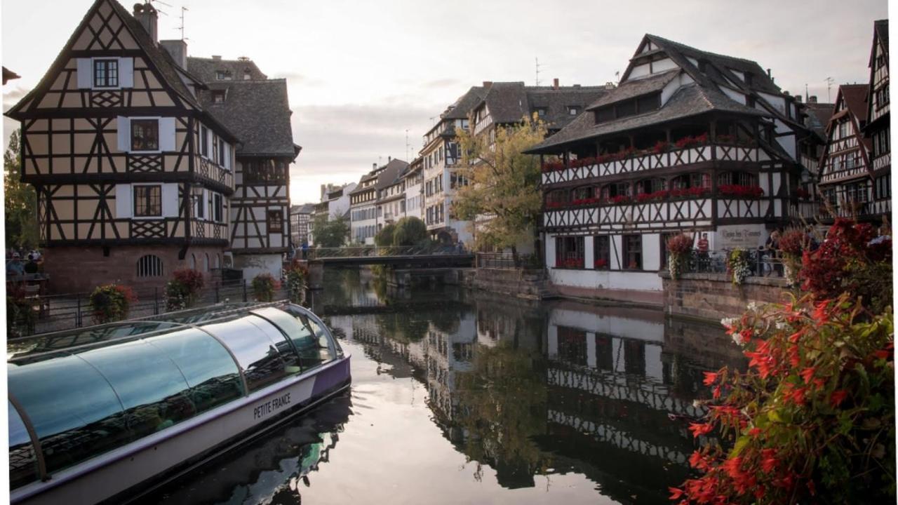 Gite Terre D'Helene 4 A 5 Pers Proche Strasbourg 42 M2, 3 Etoiles, Wifi, Paisible, Jardin, Proche Commerces,16 Atouts, Animaux Acceptes Berstett Екстер'єр фото