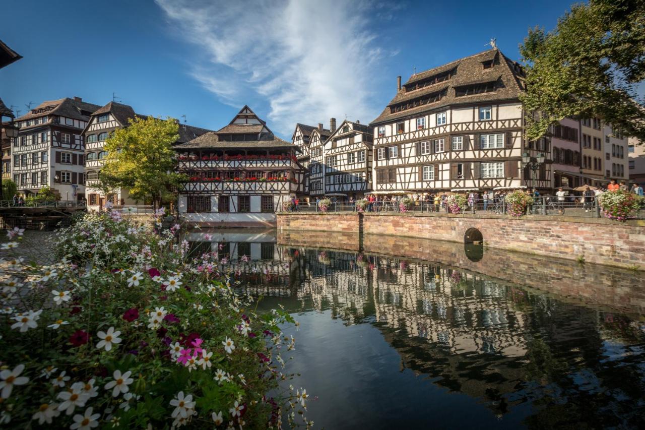 Gite Terre D'Helene 4 A 5 Pers Proche Strasbourg 42 M2, 3 Etoiles, Wifi, Paisible, Jardin, Proche Commerces,16 Atouts, Animaux Acceptes Berstett Екстер'єр фото