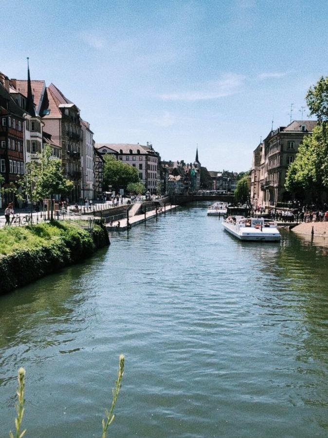 Gite Terre D'Helene 4 A 5 Pers Proche Strasbourg 42 M2, 3 Etoiles, Wifi, Paisible, Jardin, Proche Commerces,16 Atouts, Animaux Acceptes Berstett Екстер'єр фото